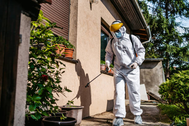 Best Insect Control  in Elgin, SC