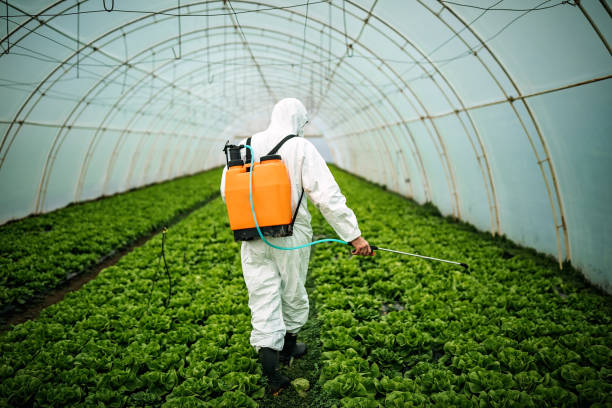 Best Pest Removal Services  in Elgin, SC