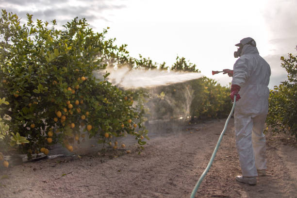 Best Cockroach Control Services  in Elgin, SC